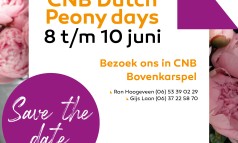 News image: CNB Dutch Peony days 2022